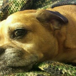 Meet your Posher, Jody